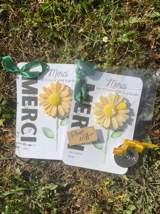Marguerite « Merci »