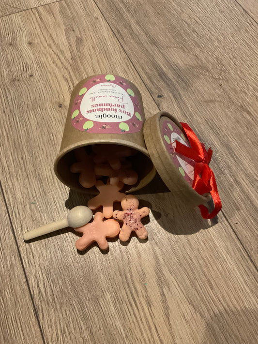 Les sachets de fondants  parfumés de Noël - Pomme Cannelle