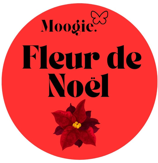 Fondant parfumé- Fleur de Noël